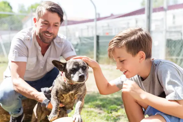 Doação de Cachorros: Uma Atitude que Salva Vidas e Espalha Amor